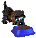 Image of a-scot snuffleing.gif