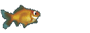 Image of fishswim.gif